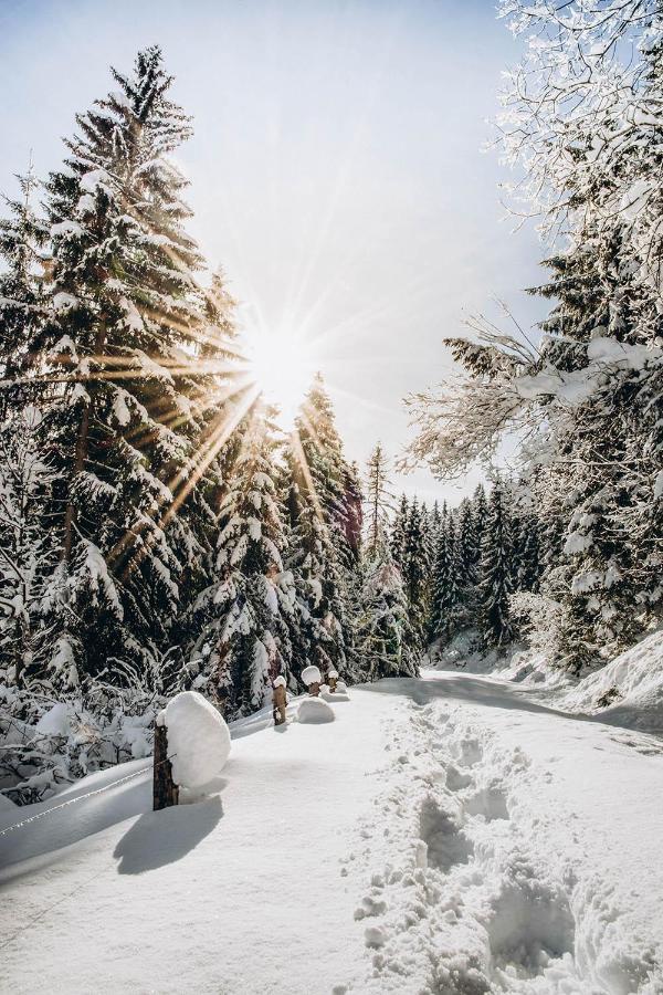 Four Peaks Apartment Flachau Luaran gambar